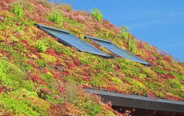 Perlethorpe living roof systems