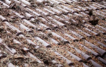 Perlethorpe roof cleaning companies