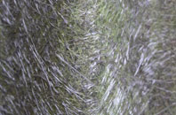 Perlethorpe fibreglass roof work